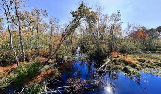 Photo #20 of SOLD property in Off Buck Swamp Road, Pikeville, NC 30.5 acres