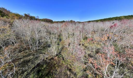 Photo #21 of SOLD property in Off Buck Swamp Road, Pikeville, NC 30.5 acres