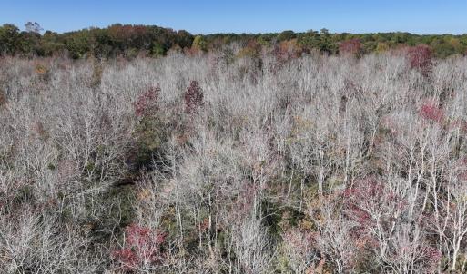 Photo #22 of SOLD property in Off Buck Swamp Road, Pikeville, NC 30.5 acres