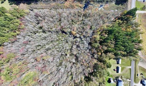 Photo #23 of SOLD property in Off Buck Swamp Road, Pikeville, NC 30.5 acres