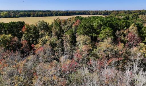 Photo #25 of SOLD property in Off Buck Swamp Road, Pikeville, NC 30.5 acres