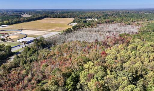 Photo #4 of SOLD property in Off Buck Swamp Road, Pikeville, NC 30.5 acres