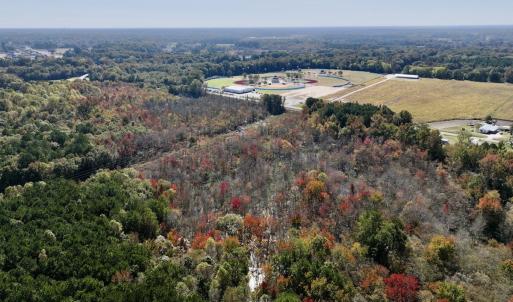Photo #7 of SOLD property in Off Buck Swamp Road, Pikeville, NC 30.5 acres