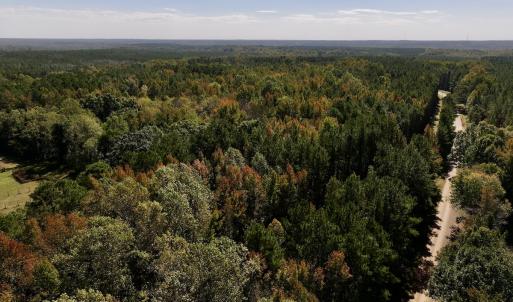 Photo #10 of SOLD property in Off Old Maple Rd. , Warrenton, NC 9.7 acres
