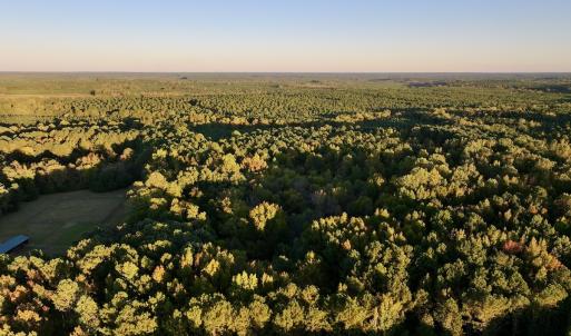 Photo #11 of SOLD property in Off Old Maple Rd. , Warrenton, NC 9.7 acres