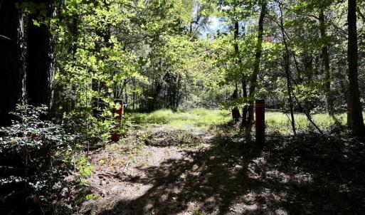 Photo #14 of SOLD property in Off Old Maple Rd. , Warrenton, NC 9.7 acres