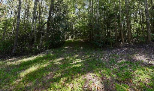 Photo #16 of SOLD property in Off Old Maple Rd. , Warrenton, NC 9.7 acres