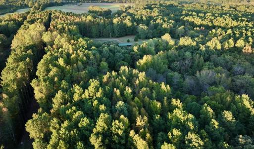 Photo #2 of SOLD property in Off Old Maple Rd. , Warrenton, NC 9.7 acres