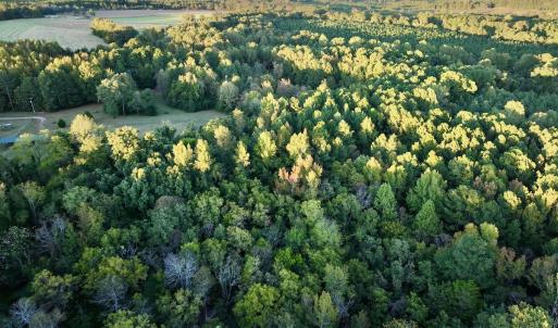 Photo #3 of SOLD property in Off Old Maple Rd. , Warrenton, NC 9.7 acres