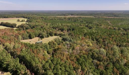 Photo #5 of SOLD property in Off Old Maple Rd. , Warrenton, NC 9.7 acres