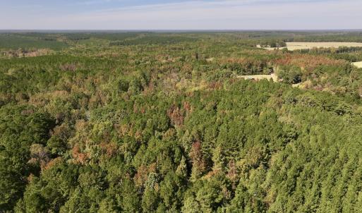 Photo #6 of SOLD property in Off Old Maple Rd. , Warrenton, NC 9.7 acres