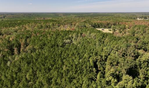 Photo #7 of SOLD property in Off Old Maple Rd. , Warrenton, NC 9.7 acres