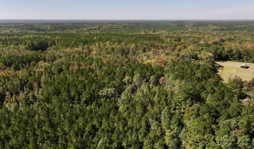 Photo #8 of SOLD property in Off Old Maple Rd. , Warrenton, NC 9.7 acres