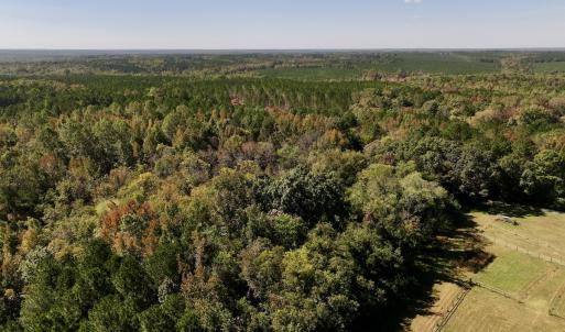 Photo #9 of SOLD property in Off Old Maple Rd. , Warrenton, NC 9.7 acres