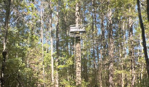 Photo #20 of SOLD property in Off Old Maple Rd. , Warrenton, NC 9.7 acres
