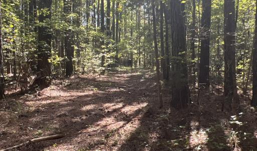 Photo #23 of SOLD property in Off Old Maple Rd. , Warrenton, NC 9.7 acres