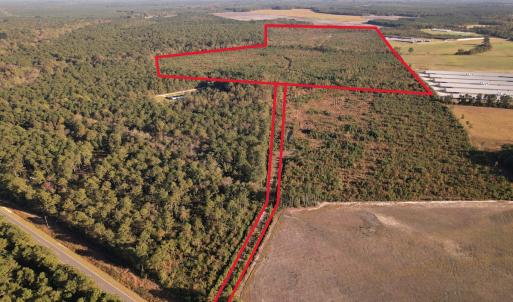Photo #2 of SOLD property in Off Lightwood Bridge Road, Wallace, NC 90.0 acres
