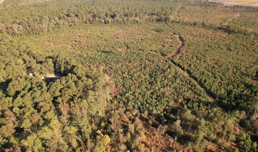 Photo #4 of SOLD property in Off Lightwood Bridge Road, Wallace, NC 90.0 acres