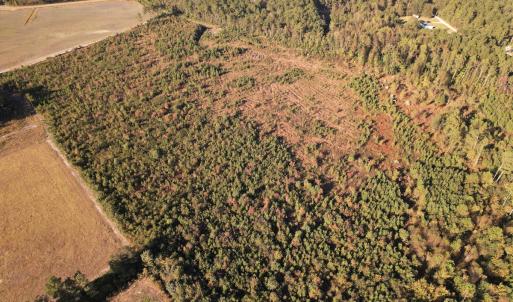 Photo #5 of SOLD property in Off Lightwood Bridge Road, Wallace, NC 90.0 acres