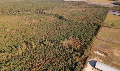 Photo #8 of SOLD property in Off Lightwood Bridge Road, Wallace, NC 90.0 acres