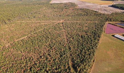 Photo #9 of SOLD property in Off Lightwood Bridge Road, Wallace, NC 90.0 acres