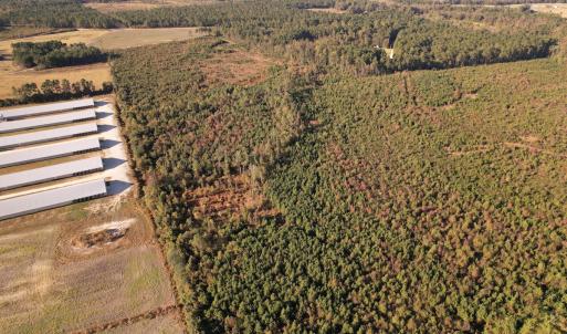 Photo #12 of SOLD property in Off Lightwood Bridge Road, Wallace, NC 90.0 acres