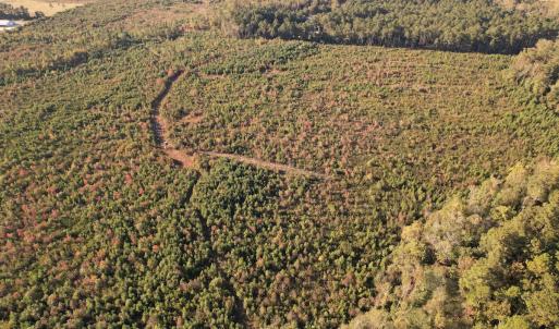 Photo #15 of SOLD property in Off Lightwood Bridge Road, Wallace, NC 90.0 acres
