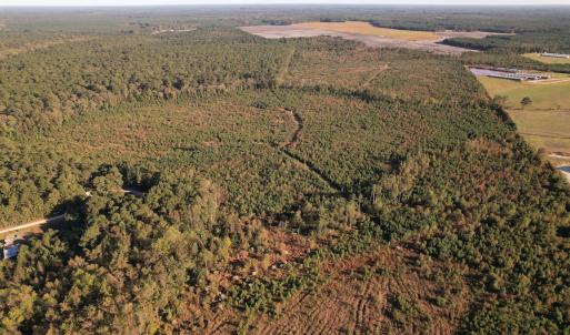 Photo #18 of SOLD property in Off Lightwood Bridge Road, Wallace, NC 90.0 acres