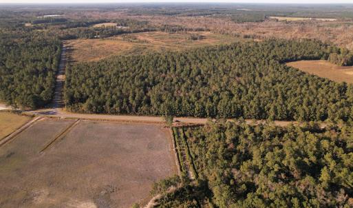 Photo #19 of SOLD property in Off Lightwood Bridge Road, Wallace, NC 90.0 acres