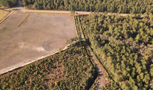 Photo #20 of SOLD property in Off Lightwood Bridge Road, Wallace, NC 90.0 acres