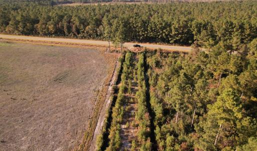Photo #21 of SOLD property in Off Lightwood Bridge Road, Wallace, NC 90.0 acres