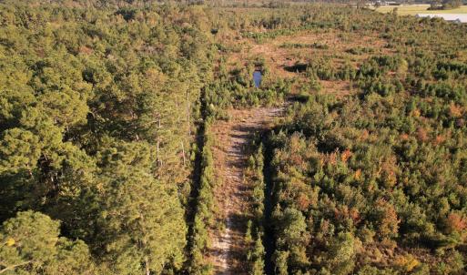 Photo #22 of SOLD property in Off Lightwood Bridge Road, Wallace, NC 90.0 acres