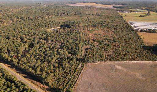Photo #24 of SOLD property in Off Lightwood Bridge Road, Wallace, NC 90.0 acres