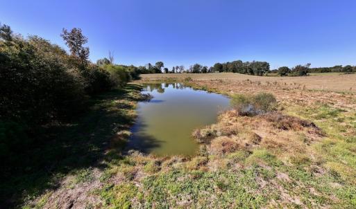 Photo #62 of 975 Pashcall Rd, Warrenton, NC 43.1 acres