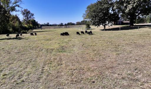 Photo #64 of 975 Pashcall Rd, Warrenton, NC 43.1 acres