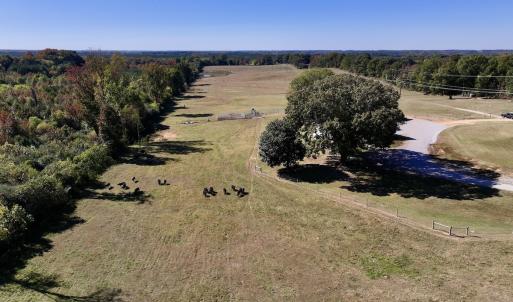 Photo #65 of 975 Pashcall Rd, Warrenton, NC 43.1 acres