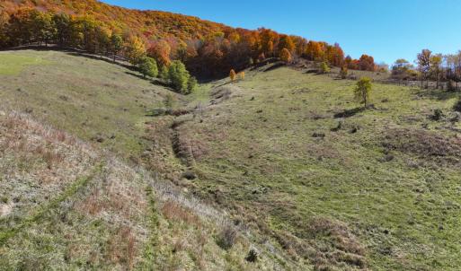 Photo #11 of SOLD property in Off Wimer Mountain Road, Blue Grass , VA 159.0 acres