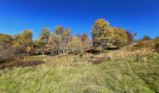 Photo #15 of SOLD property in Off Wimer Mountain Road, Blue Grass , VA 159.0 acres