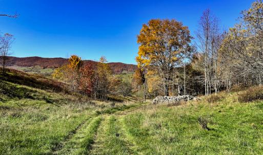 Photo #16 of SOLD property in Off Wimer Mountain Road, Blue Grass , VA 159.0 acres