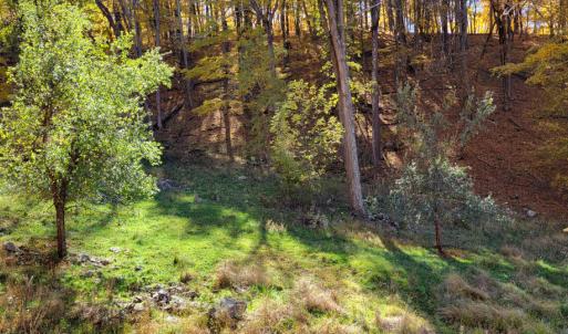 Photo #18 of SOLD property in Off Wimer Mountain Road, Blue Grass , VA 159.0 acres