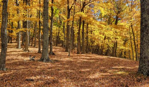 Photo #19 of SOLD property in Off Wimer Mountain Road, Blue Grass , VA 159.0 acres