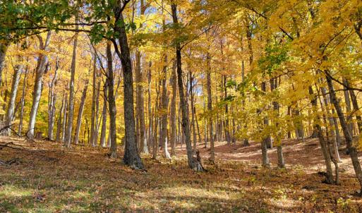 Photo #20 of SOLD property in Off Wimer Mountain Road, Blue Grass , VA 159.0 acres