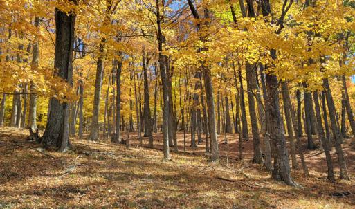 Photo #21 of SOLD property in Off Wimer Mountain Road, Blue Grass , VA 159.0 acres