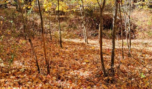 Photo #23 of SOLD property in Off Wimer Mountain Road, Blue Grass , VA 159.0 acres