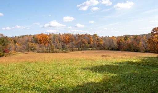 Photo #13 of SOLD property in Off Hardin Reynolds Rd, Critz, VA 39.8 acres