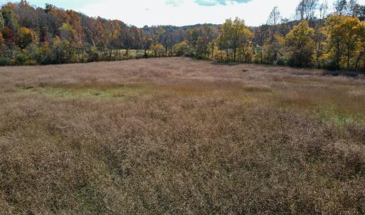 Photo #16 of SOLD property in Off Hardin Reynolds Rd, Critz, VA 39.8 acres