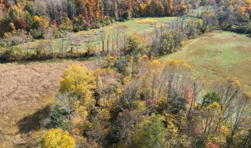 Photo #17 of SOLD property in Off Hardin Reynolds Rd, Critz, VA 39.8 acres