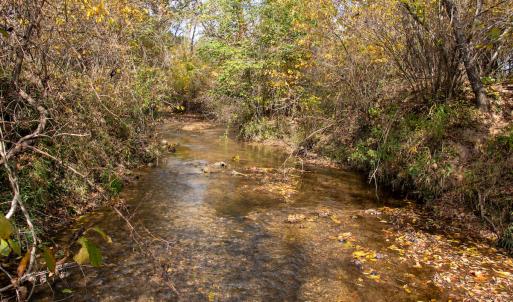Photo #18 of SOLD property in Off Hardin Reynolds Rd, Critz, VA 39.8 acres