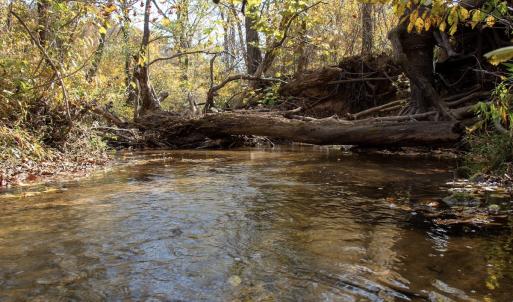 Photo #19 of SOLD property in Off Hardin Reynolds Rd, Critz, VA 39.8 acres