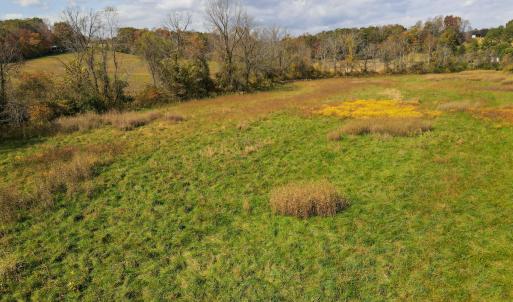 Photo #22 of SOLD property in Off Hardin Reynolds Rd, Critz, VA 39.8 acres